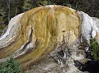 Yellowstone Mammoth Hotsprings (80).JPG